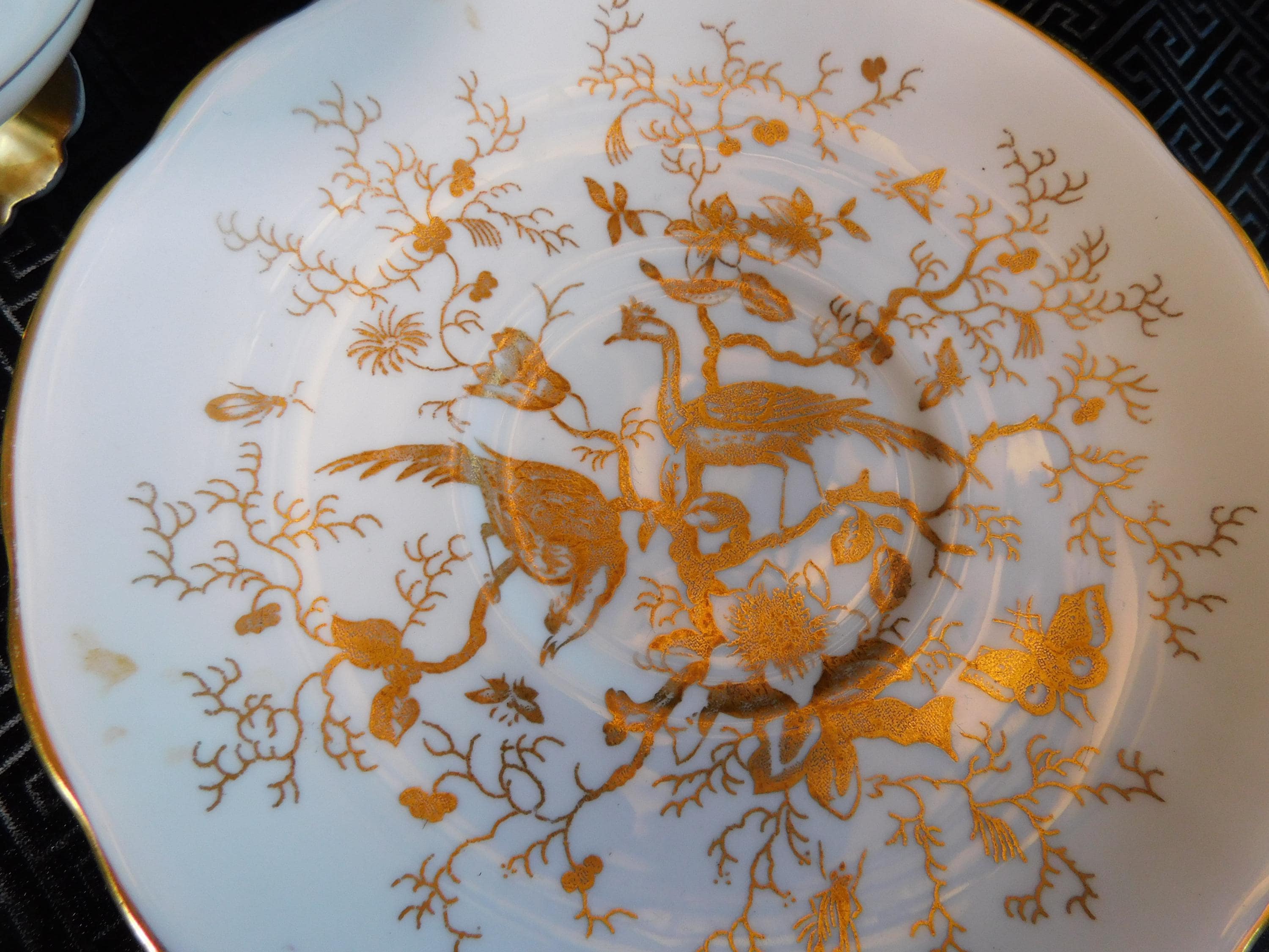 Coalport Teacup in Cario Gold on White # 24113